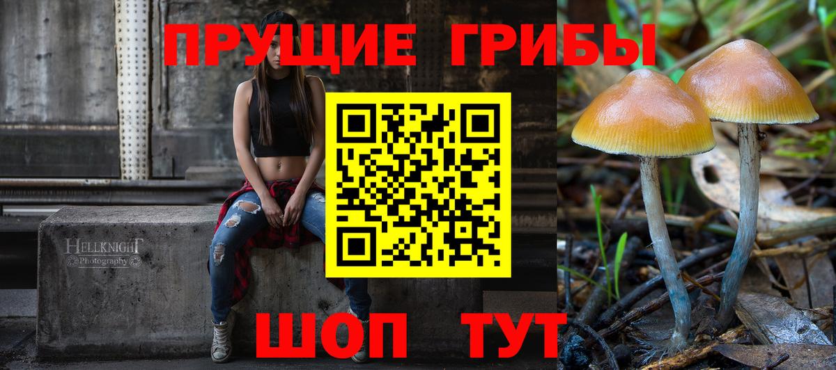 Обь  Псилоцибиновые грибы Magic Shrooms  где купить   Вход с VPN 